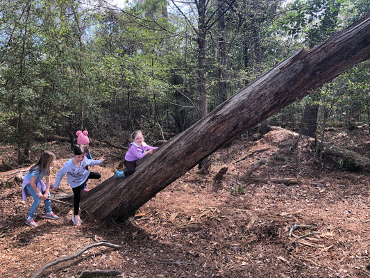 Exciting Spring Break 2024 adventures for families near Houston