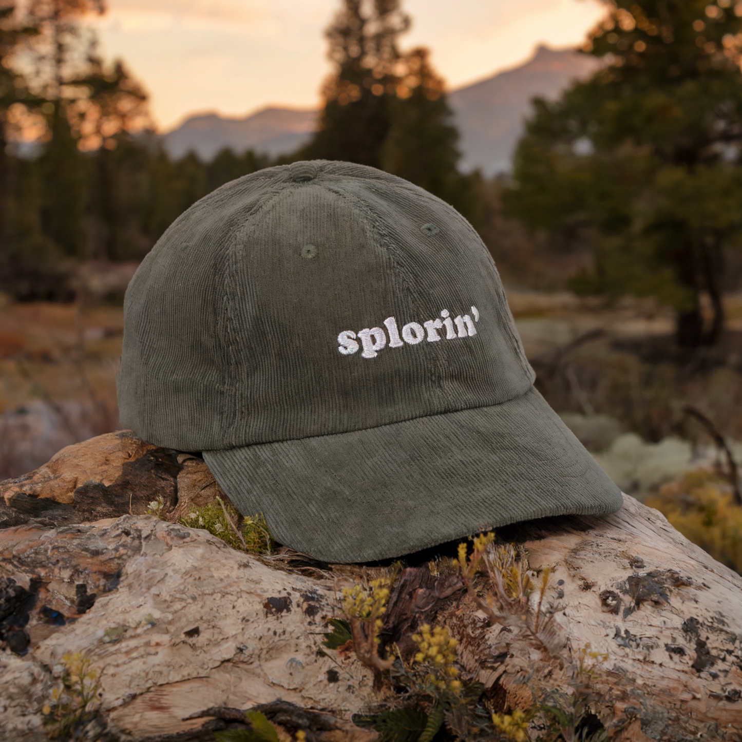 Splorin' Corduroy Cap